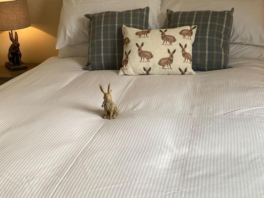 The Burrow, Langholm, Dumfries And Galloway 外观 照片